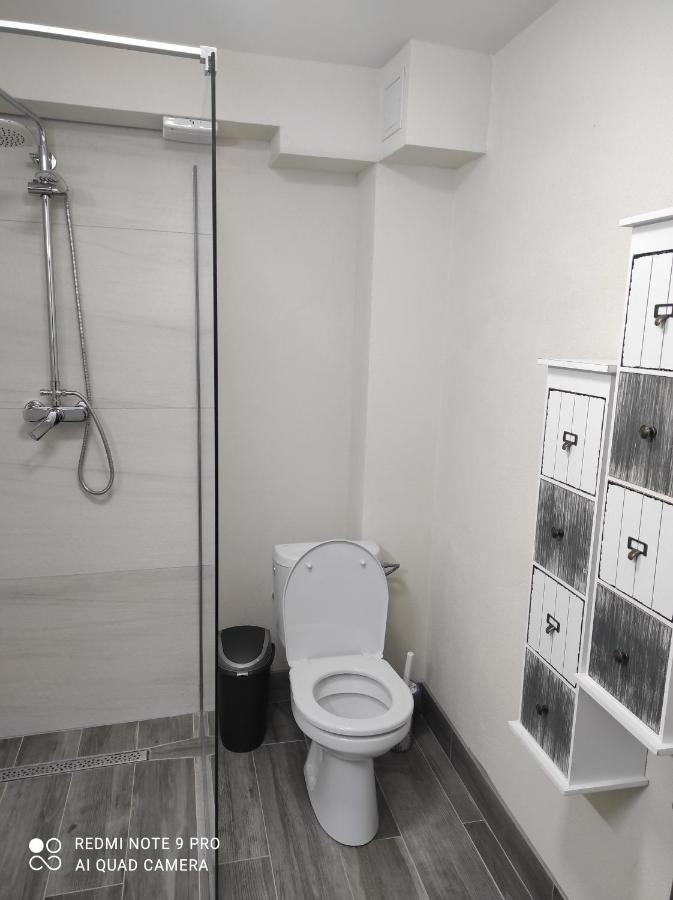 Cozy Loft Apartament Sighetu Marmaţiei Buitenkant foto