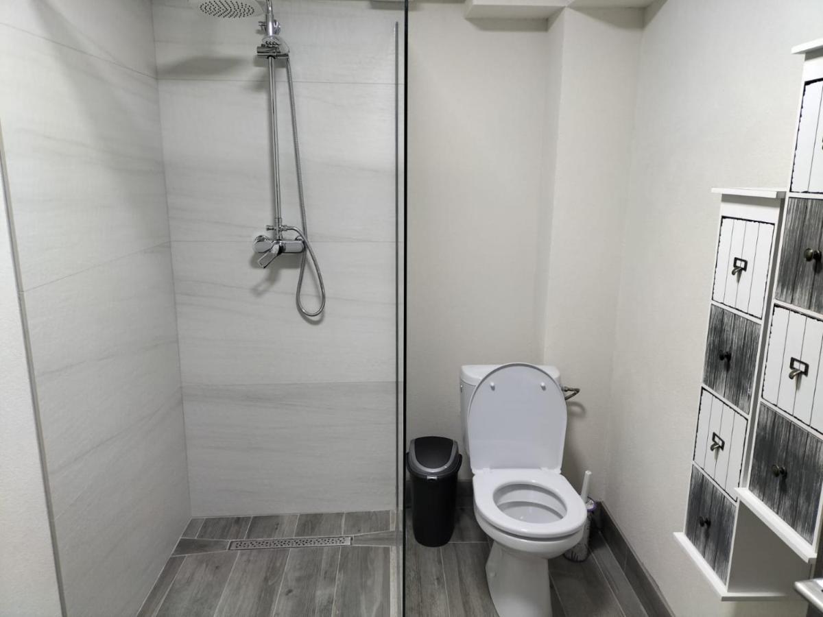 Cozy Loft Apartament Sighetu Marmaţiei Buitenkant foto