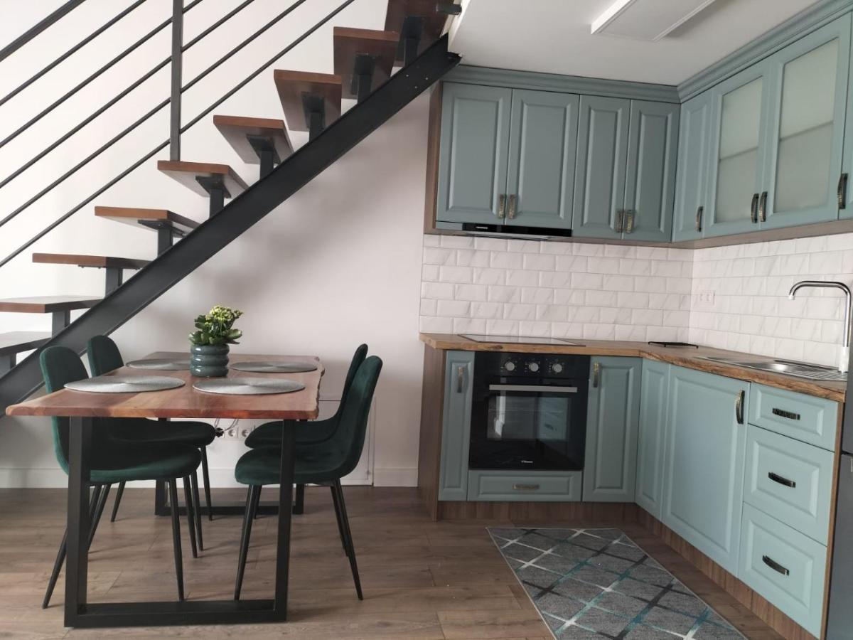 Cozy Loft Apartament Sighetu Marmaţiei Buitenkant foto