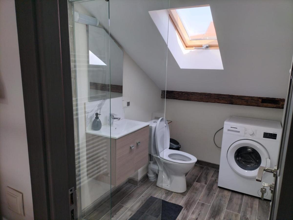 Cozy Loft Apartament Sighetu Marmaţiei Buitenkant foto